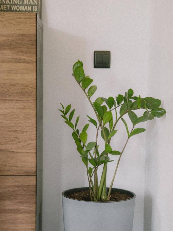Willa Piwniczka Apartament Jahlowej Piwniczna-Zdroj Kültér fotó